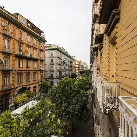 Morpheus Casa de hóspedes